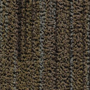 Coral Aktiv 5764 petrified grey